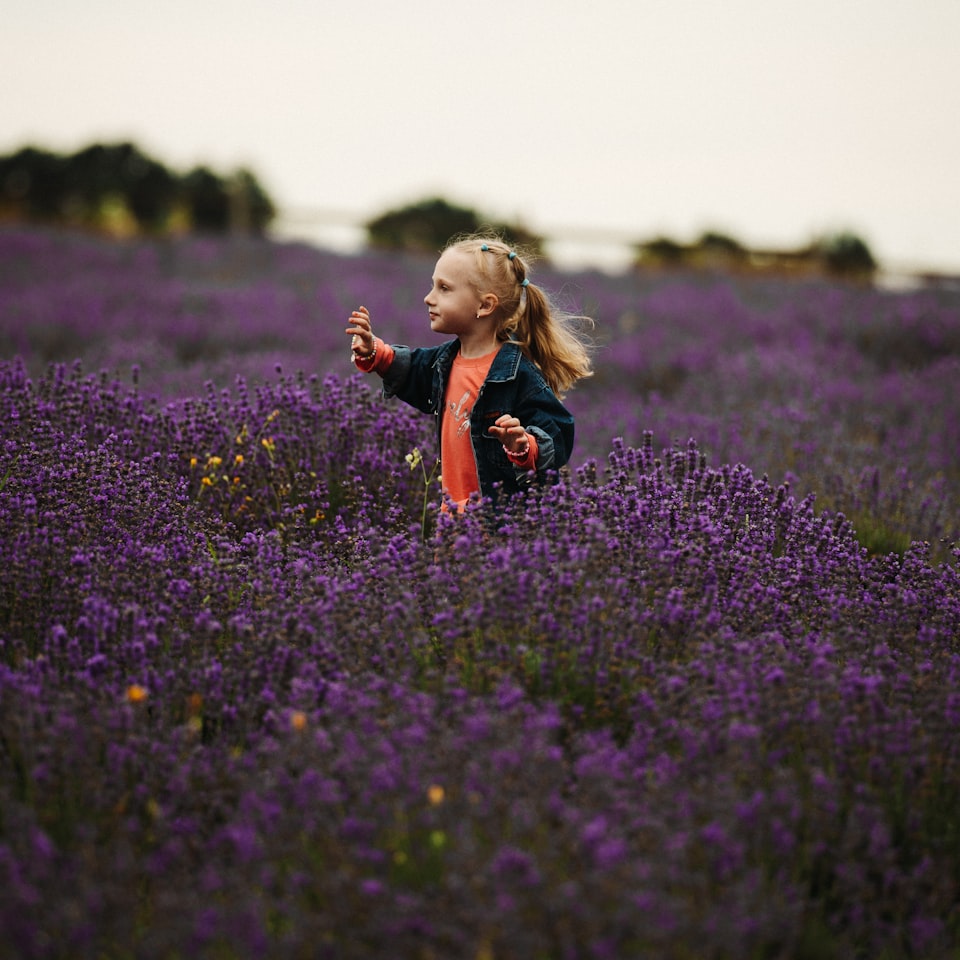 Lavender Brown Chicken